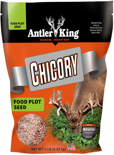 ANTLER KING CHICORY 1# BAG - PERENNIAL 1/4 ACRE — view 1