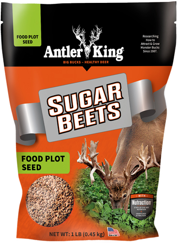 ANTLER KING SUGAR BEETS 1# BAG - ANNUAL 1/8 ACRE — view 1