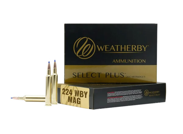 WEATHERBY 224WBY 37GR HAMMER CUSTOM — view 1