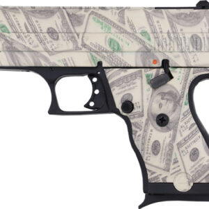 HI-POINT PISTOL C9 9MM COMPACT - 3.5" 8SH $100 BILL PATTERN — view 2