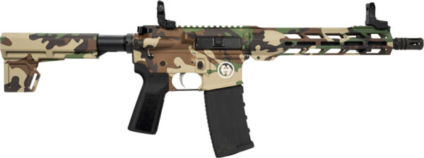 HIPOINT PISTOL HP-15 300 AAC - 10.5" 30RD BLADE BRACE M81 — view 1