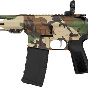 HIPOINT PISTOL HP-15 300 AAC - 10.5" 30RD BLADE BRACE M81 — view 2