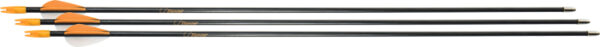 BEAR ARCHERY YOUTH SAFETYGLASS - ARROWS 28" 3PK — view 1