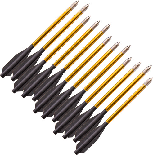 BEAR-X DESIRE CROSSBOW BOLTS - 12PK — view 1