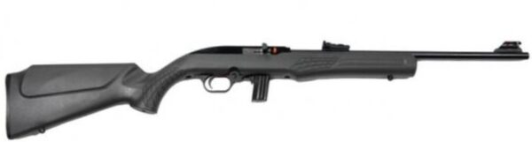 RS22 .22LR 18" FO Blk/Grey 10-rd — view 1