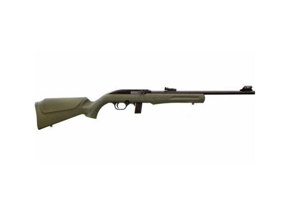 ROSSI RS22 22LR BLK/ODG 18" 10+1 — view 1