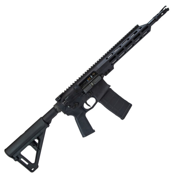 US PALM CAT4 556 11.5" 30RD — view 1