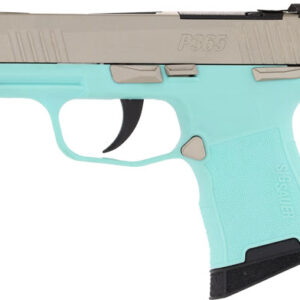 SIG P365 MIC COMP 380ACP 3.1" - XRAY3 OR (2)10RD ROB EGG/NICK — view 2