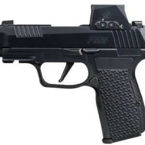 SIG P365 AXG LUXE 380ACP 3.1" - 2-PORT W/ROMEO-X (3)12RD BLACK