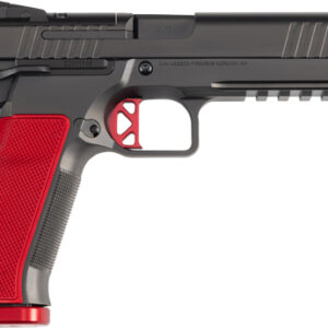 DAN WESSON DWX 9MM OR 5" - RAIL 10RD BLACK DUTY FINISH
