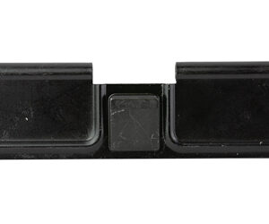 BAD DUST COVER - 2ND AMENDMENT — view 2
