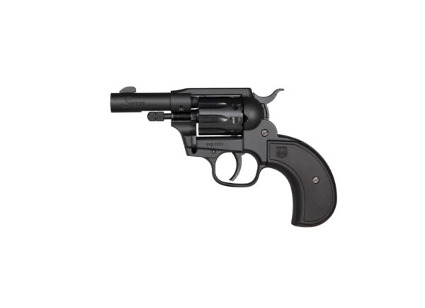 DIAMONDBACK FIREARMS SIDEKICK 22LR/22M BK BIRDSHEAD — view 1