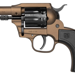 DBF SIDEKICK 22LR/MAG BIRDSHEAD GRIP 3 BRZ