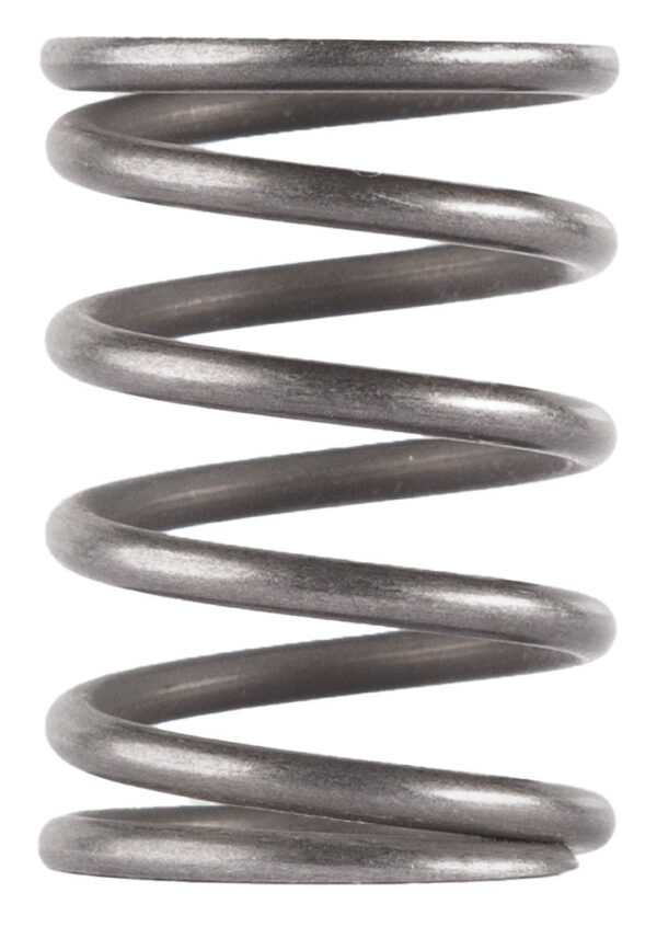 DAIR PISTON SPRING FOR GHOST ODESSA MOJAVE 9 — view 1