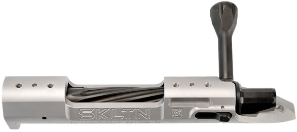 P2 IN-00288 SKLTN SA LH MAGNUM TI — view 1