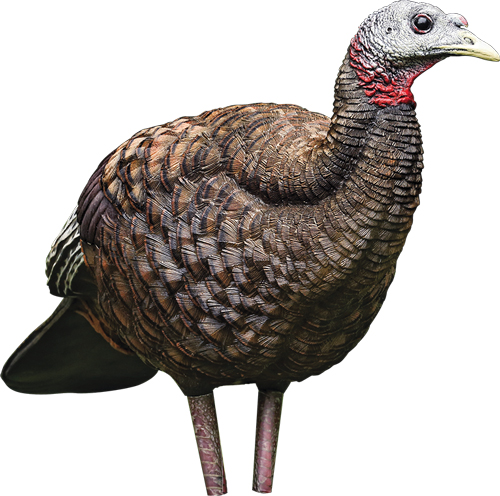AVIAN X LCD BREEDER HEN DECOY — view 1
