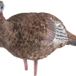 AVIAN X LCD BREEDER HEN DECOY — view 4