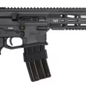 SILVER SHADOW GILBOA DBR SNAKE 5.56 2 X 16