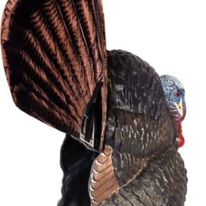 FLEXTONE THUNDER CREEPER - STRUTTER DECOY W/ FOLDING FAN — view 2