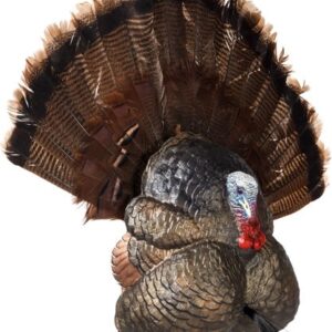 FLEXTONE THUNDER CREEPER - STRUTTER DECOY W/ FOLDING FAN — view 4