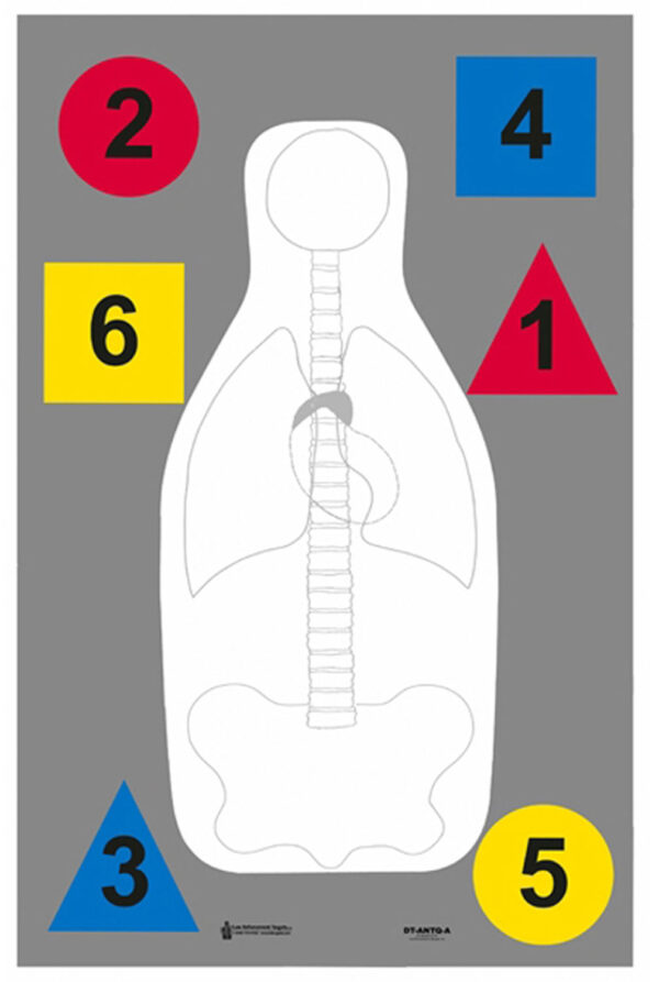 Action Target DTANTQA100 Training Multi-Purpose Silhouette Paper Hanging 23" x 35" Multi-Color 100 Per Box — view 1
