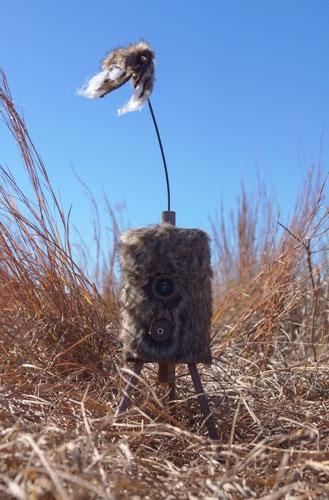 MOJO SUPER CRITTER W/CRITTER - TOPPER & SPEAKER — view 1
