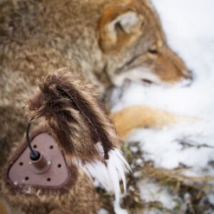 MOJO SUPER CRITTER W/CRITTER - TOPPER & SPEAKER — view 2