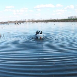 MOJO BUTT UP MALLARD RIPPLER - DECOY — view 4