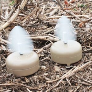 MOJO DOVE A FLICKER (4 PACK) — view 3