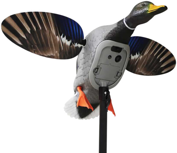 Mojo Outdoors HW2520 Elite Series King Mallard Multi Color Plastic — view 1