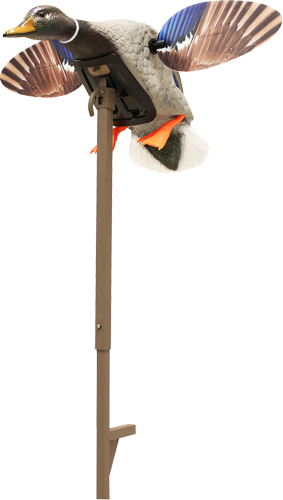 MOJO ELITE SERIES MINI MALLARD - DRAKE DECOY — view 1