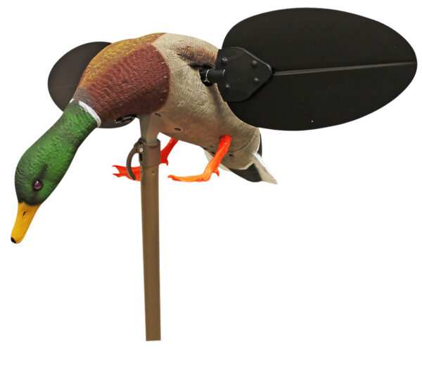 Mojo Outdoors HW2533 Mallard Drake  Multi Color Features Remote Control — view 1