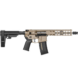 Model 1  9" 300 FDE Pist FDE