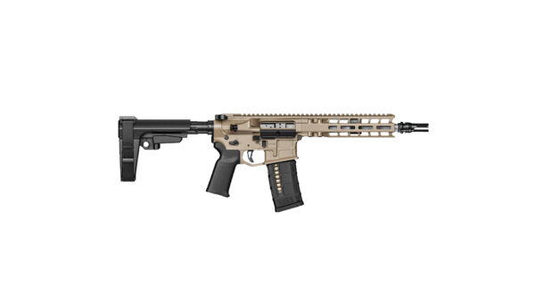 Model 1  9" 300 FDE Pist FDE — view 1