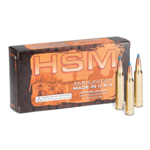 HSM VARMINT 220SWIFT 50GR BLITZKING 20/25