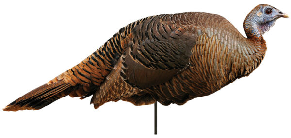 MONTANA DECOY TKY SPRING FLING HEN 2D — view 1