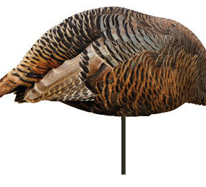 MONTANA DECOY TKY DINNER BELLE FEEDING HEN 2D