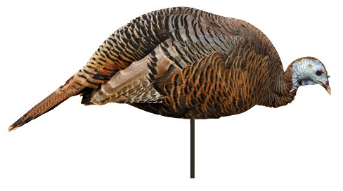 MONTANA DECOY TKY DINNER BELLE FEEDING HEN 2D — view 1