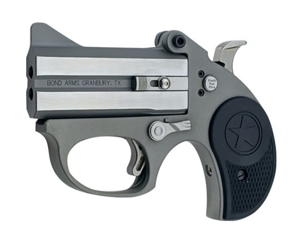 BOND ARMS STINGER 22LR SS 3" FS — view 1