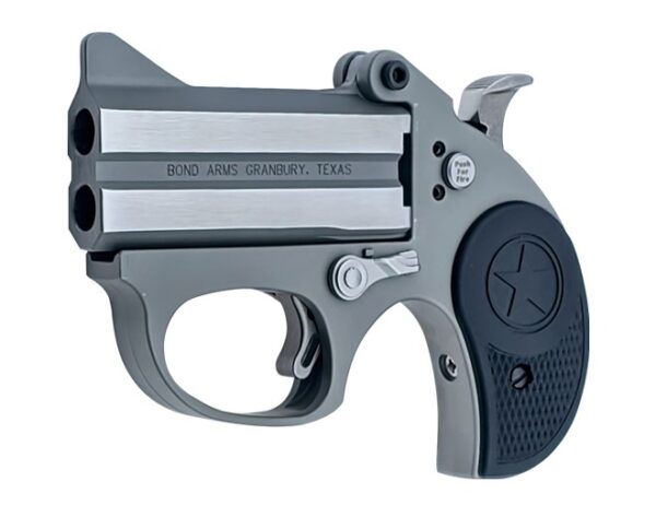 BOND ARMS STINGER 380ACP SS 3" FS — view 1