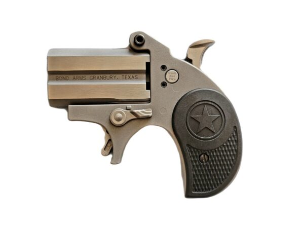 BOND ARMS STUBBY 380ACP SS 2.2" FS — view 1