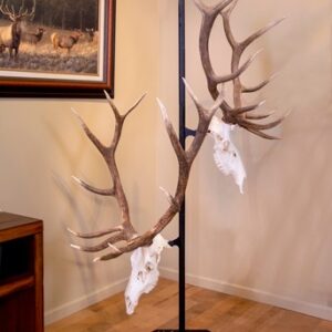 SKULL HOOKER TROPHY TREE W/ 5 - BRACKETS CUSTOMIZABLE DISPLAY — view 2