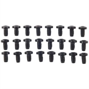24 PACK H/H BLUE SCREWS