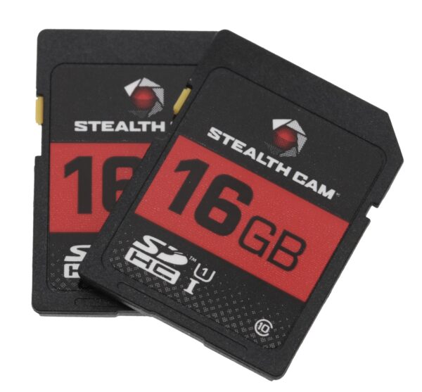STEAL STC-16GB2PK    16GB SD CARD 2PACK — view 1