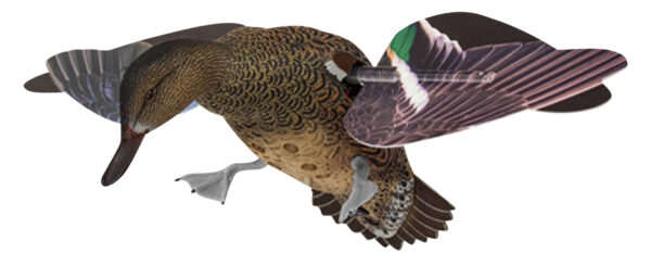 Avian X AVXPFLHT PowerFlight Hen Green-Winged Teal spinning wing decoy — view 1