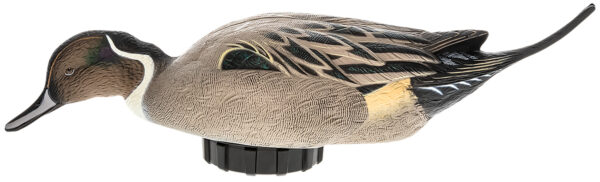 Avian X AVXPSHPNSF Power Shaker  Pintail Surface Feeder Duck Decoy Multi-Color — view 1