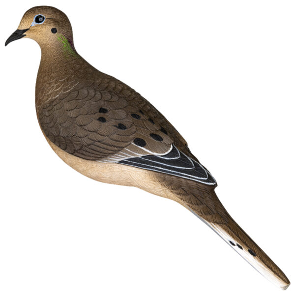 Avian X AVX-DOVE-6PK  Full Body Dove Multi-Color 6 Pack — view 1