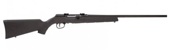 Savage Arms A22 Magnum 47400 22 Mag